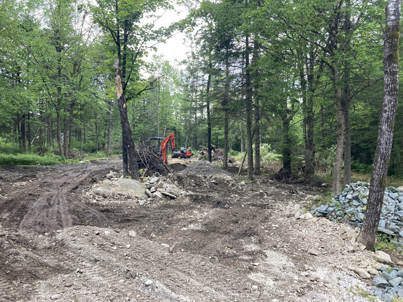 Déboisement et essouchage en Estrie – Vert Pelouse