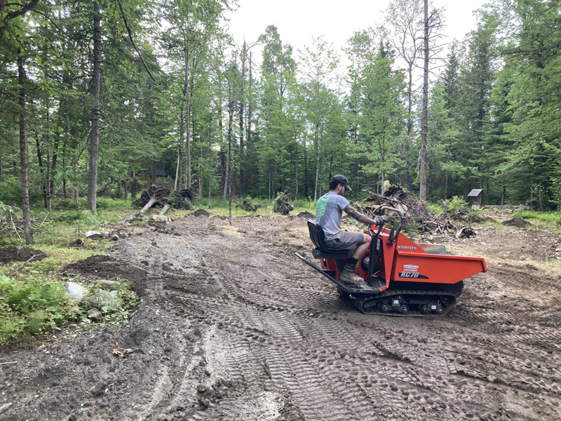 Déboisement et essouchage en Estrie – Vert Pelouse