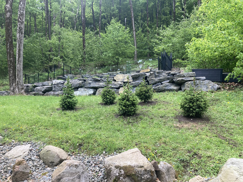 Plantation d'arbres et arbustes en Estrie – Vert Pelouse