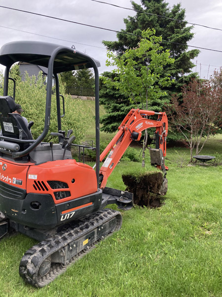 Plantation d'arbres et arbustes en Estrie – Vert Pelouse