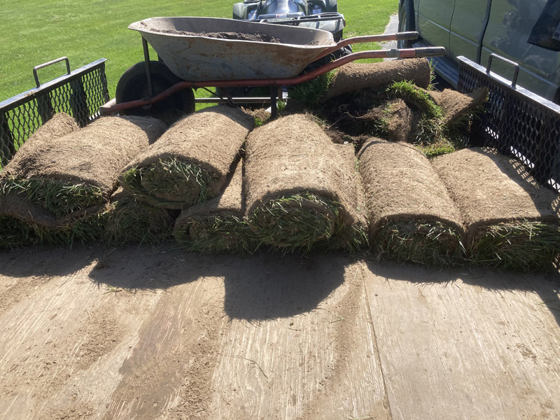 Pose de tourbe résidentielle à Granby et Shefford – Vert Pelouse