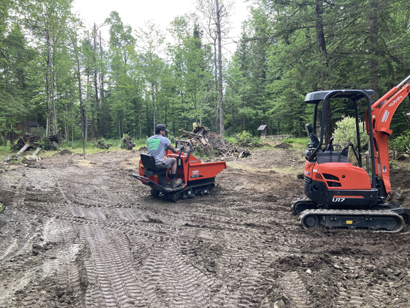 Déboisement terrain