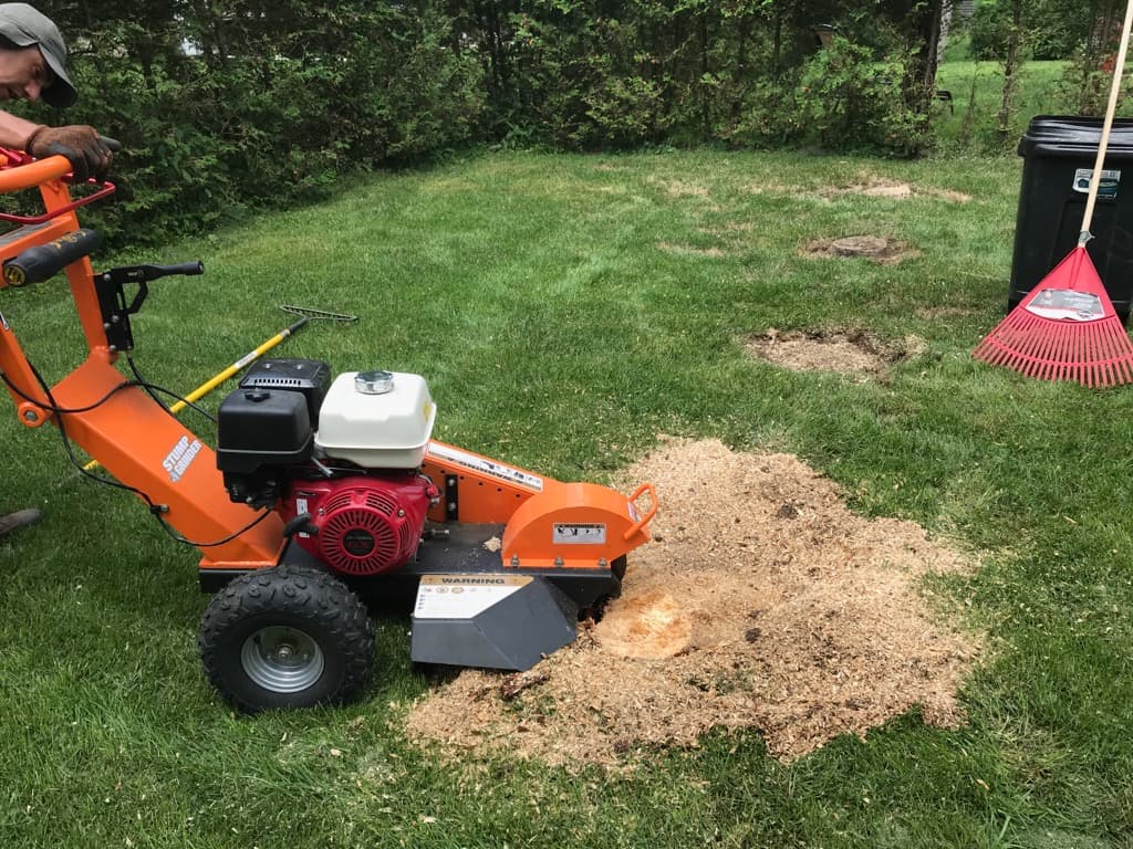 Essouchage - enlèvement de souches