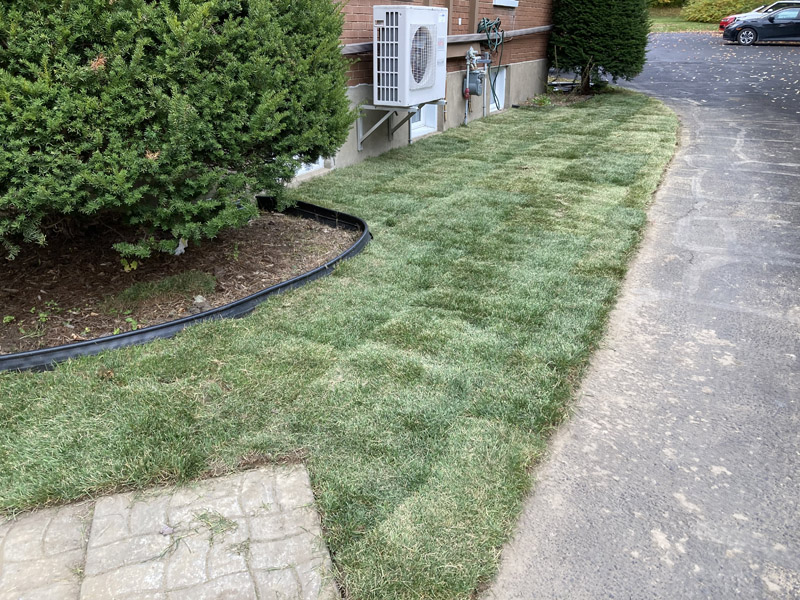 Pose de tourbe fraîche résidentielle à Granby et Bromont – Vert Pelouse